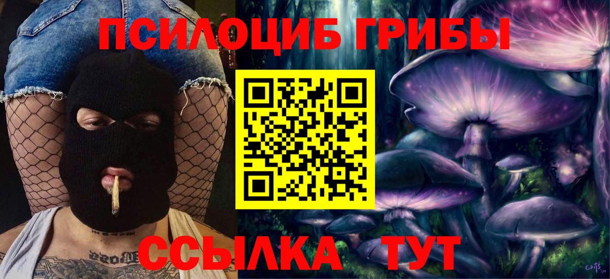 Галлюциногенные грибы Psilocybe Белово